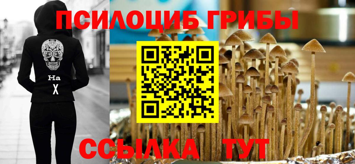 Псилоцибиновые грибы мицелий Нерюнгри